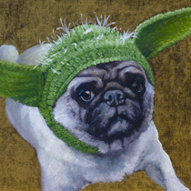 Pickles as Yoda 2014